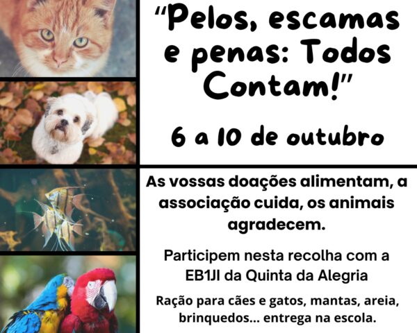 Doações