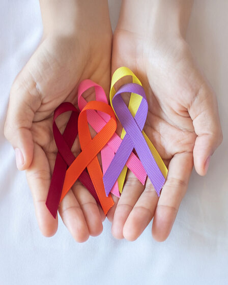 Peditório da Liga Portuguesa Contra o Cancro, LPCC